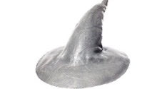 Gandalf Hat